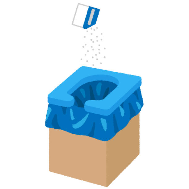 Best Porta potty delivery and setup  in Buena Vista, VA